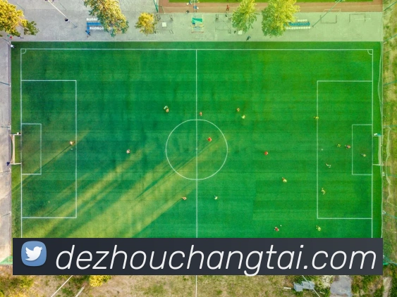 奖项4